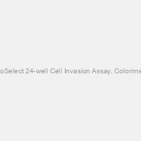 CytoSelect 24-well Cell Invasion Assay, Colorimetric